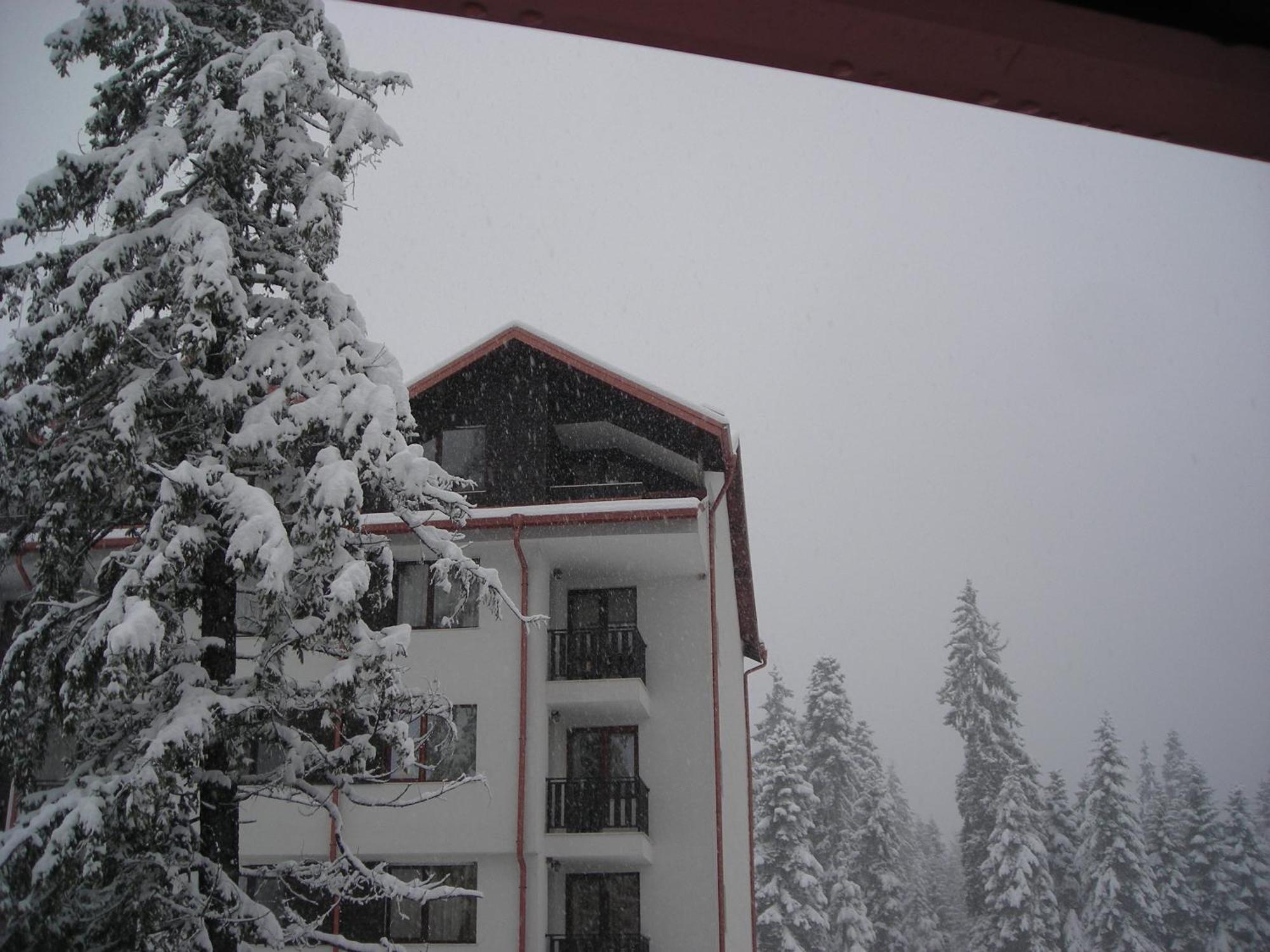 Borovets Gardens Chalet Flat Eksteriør billede